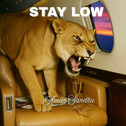 STAY LOW!