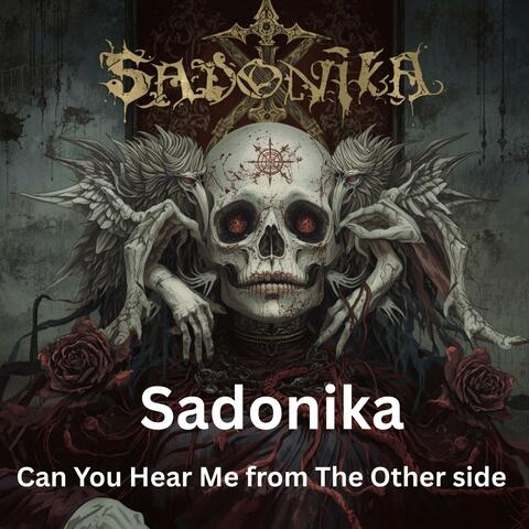 Can You Hear Me From The Other Side