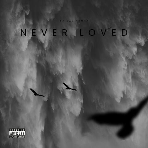Never loved