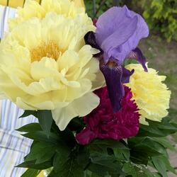 Grandkids’ Golden Memories