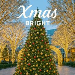 にぎやかに輝くクリスマスモーメント