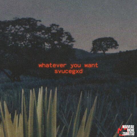 Whatever You Want