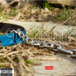 Pitbull (feat. Nicky Nicky)