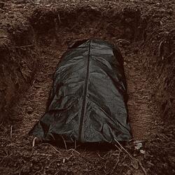 Eek! Spiders in My Grave!