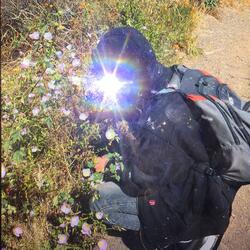 Entering A Seed of Cautious Gratitude