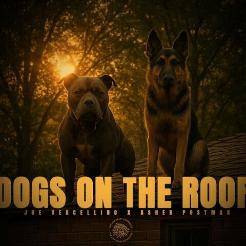 Dogs on the Roof