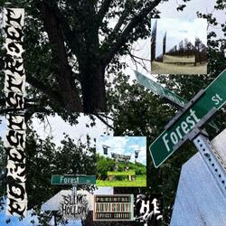FORESTSTREETINTRO