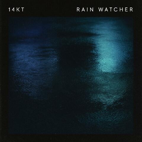 Rain Watcher