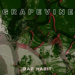 GRAPEVINE