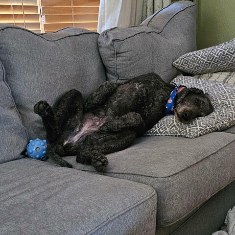 Can't Do a Thing About It