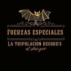 Grupo aéreo de fuerzas especiales