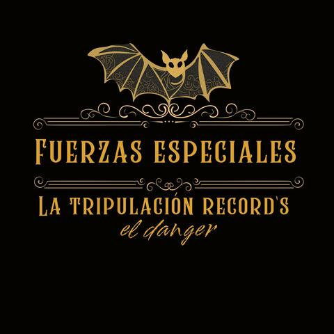 Grupo aéreo de fuerzas especiales