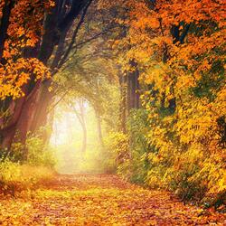 För den som tröttnat finns landet bortom regnbågen