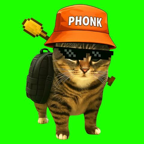 OIIA OIIA PHONK Spinning CAT