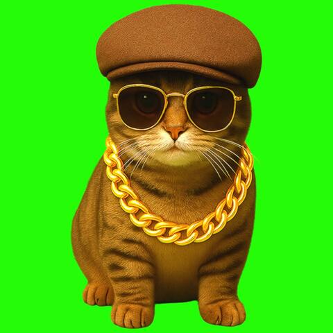 OIIA OIIA ULTRA Spinning CAT