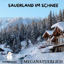 Sauerland im Schnee