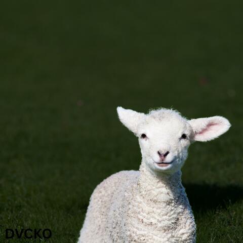 The Lamb (serving up)