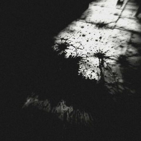 All My Shadows Dance In The Dark