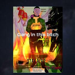 Gang in This Bitch