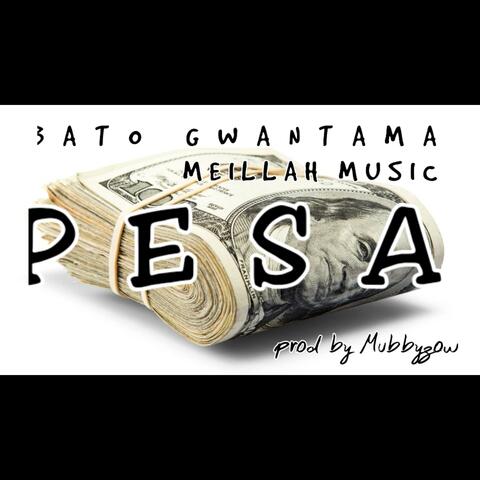 PESA (feat. Meillah music)
