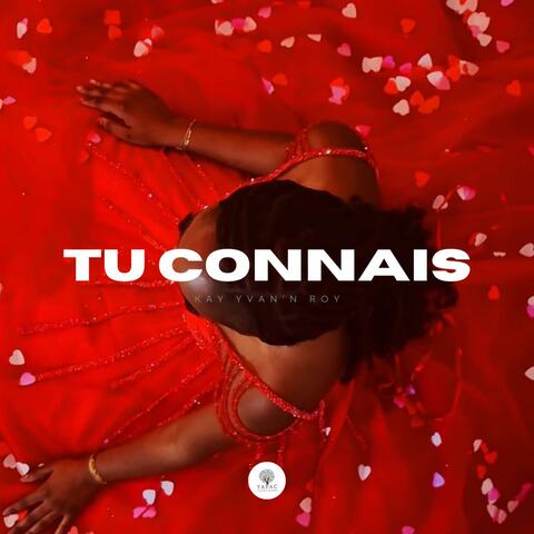 Tu connais (feat Kay Ods)