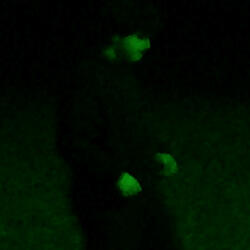 u probably shouldn't