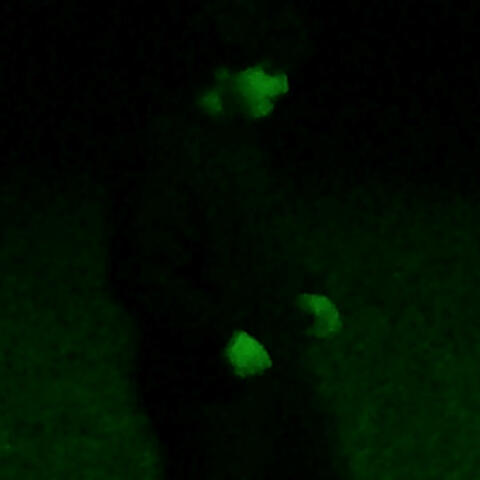 u probably shouldn't