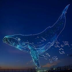 Pieces of Joy(행복의 조각들)