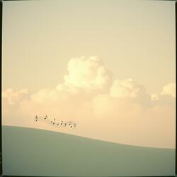 Toz İçinde Serap Var