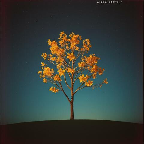 Gafil Olma Bir Gün Göçersin