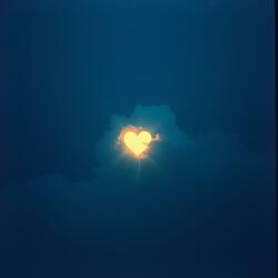 Hayat Bir Sessizliktir