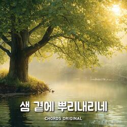 샘 곁에 뿌리내리네