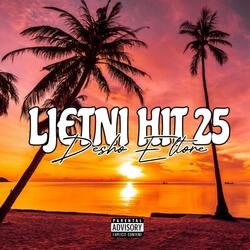 Ljetni hit 25