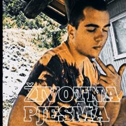 Životna Pjesma
