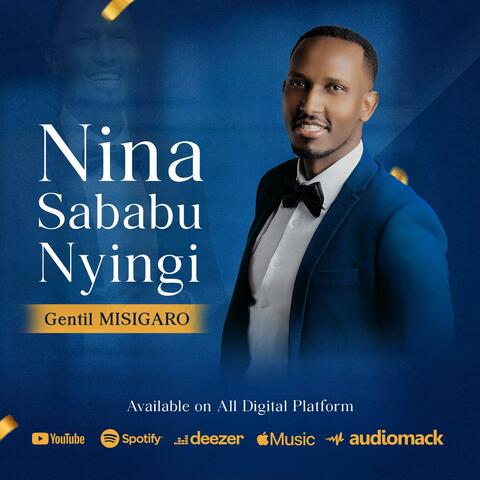 Nina Sababu Nyingi
