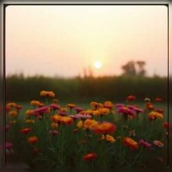 Martha, luz del camino