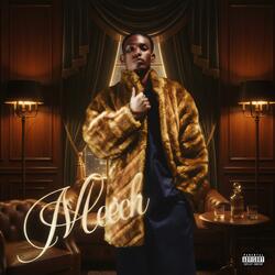 MEECH