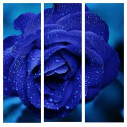 You Vsked (feat. Chopper Manhattan)