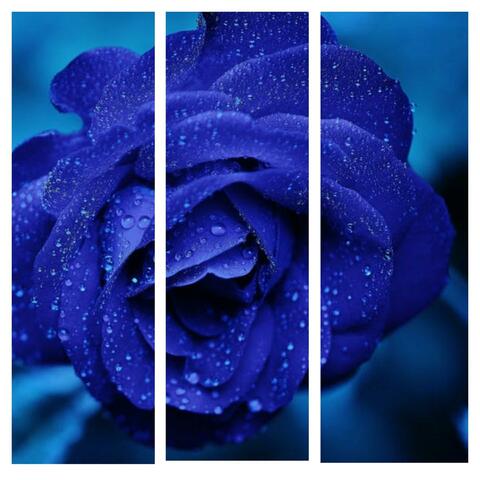 You Vsked (feat. Chopper Manhattan)