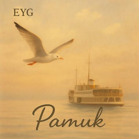 Pamuk