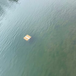 Still hard (Prod. COBRA)