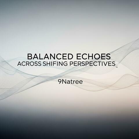 Balanced Echoes Across Shifting Perspectives