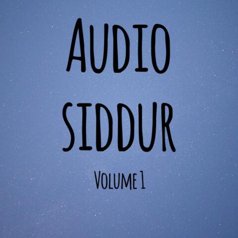 Ani Judaism Audio Siddur, Vol. 1