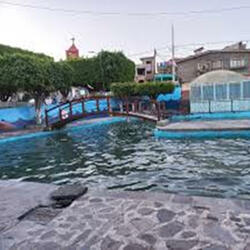 Santiago Capitiro,Corrido del hombre triste