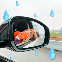 与我无关 - 02/25/2021 (新沂9楼衣柜 Version)