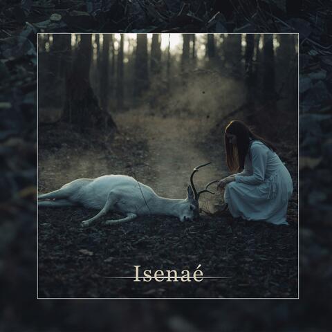 Moartea Căprioarei - Reinterpretare