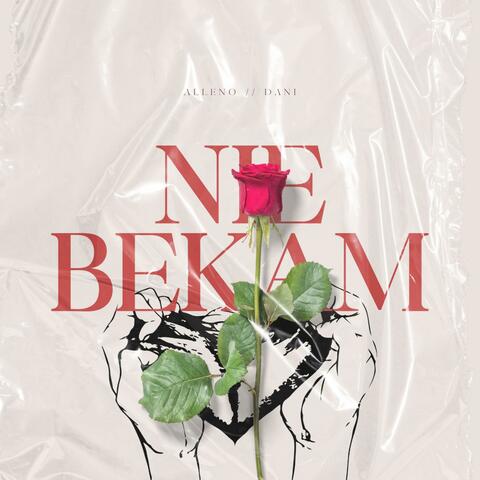nie bekam (feat. Dani09)