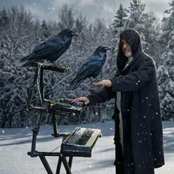 Ravens In The Mountain