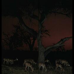 1-800-KILLYOURFRIENDS