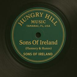 Sons Of Ireland